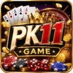 PK11 Game